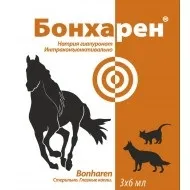 страница исканата