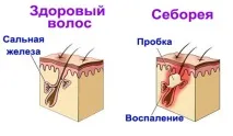 диагностика
