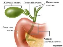 жлъчните здравословен