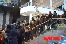 акула