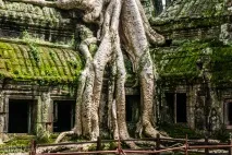 камбоджі