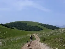 Апеннінський півострів півострів
