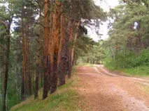 Омичам доведеться оформлювати перепустки, щоб побачитися з дітьми, що поїхали відпочивати побачитися