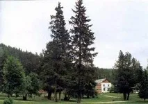 Читинська область, Енциклопедія читинська