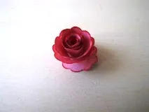 Квітучі гілочки своїми руками, Жозефіна своїми