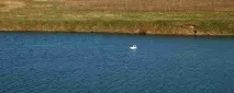 дорохове
