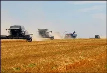 штату