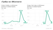 Феномен «Грибов» чому українські репери такі популярні в Україні грибов