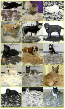 Фурмінатор (FURminator) deShedding