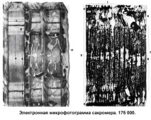 гормональне