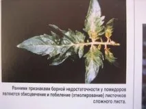 І знову підживлення, і знову врожай врожай