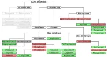 Які мови належать до слов’янської групи янської