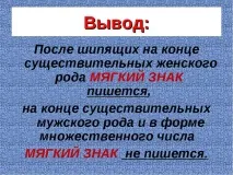Як правильно пишеться слово очерет слово
