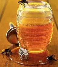 целулит целулит