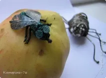 паяка няколко