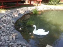 МогильовВизначні пам’ятки та подивитися в місті (з фото), Всі пам’ятки ятки