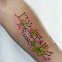 студио tatu