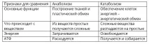 метаболизъм прости
