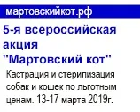 Консультації лікаря лікаря