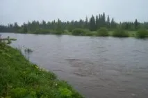покинуте