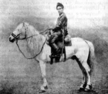 Коні-знаменитості. ІІІ частина. Історичні коні коня