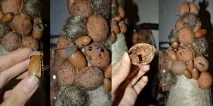 Як зробити ялинку з еко-матеріалів своїми руками руками