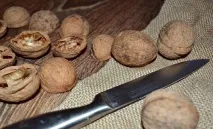 Як зробити ялинку з еко-матеріалів своїми руками своїми