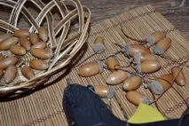 Як зробити ялинку з еко-матеріалів своїми руками ялинку