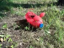 Як зробити порося своїми руками зробити