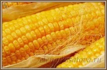 Як варити кукурудзу в каструлі кукурудзу
