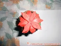 Кактус, Майстер-клас своїми руками кактус