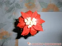 Кактус, Майстер-клас своїми руками його