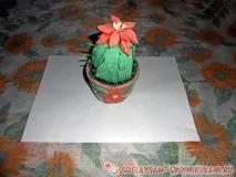Кактус, Майстер-клас своїми руками його