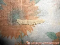 Кактус, Майстер-клас своїми руками майстер-клас