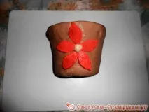Кактус, Майстер-клас своїми руками майстер-клас