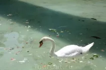 Кала Міллор (Cala Millor) Відгуки туристів про відпочинок та готель Кала Міллор з фото millor
