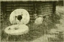 катини