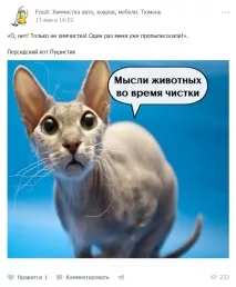 Кейс просування хімчистки просування