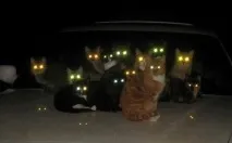 30цікавих