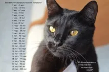 фактів