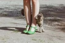 фактів