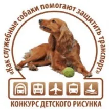 собаки