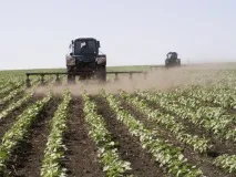 Культивація міжрядь культиватори