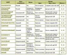 цариградско