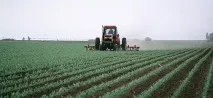 Культивація міжрядь ґрунту