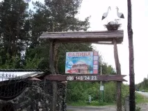 лісова