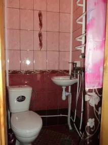 лісова