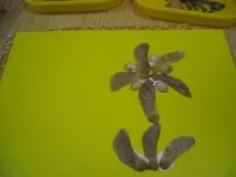 природного