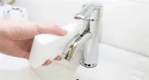 губка