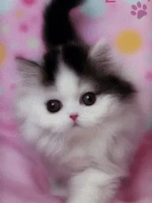 мама